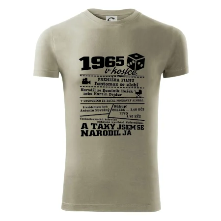 1965 v kostce