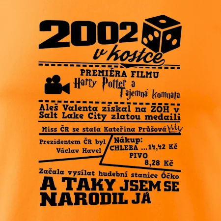 2002 v kostce