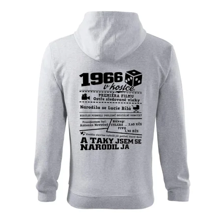 1966 v kostce