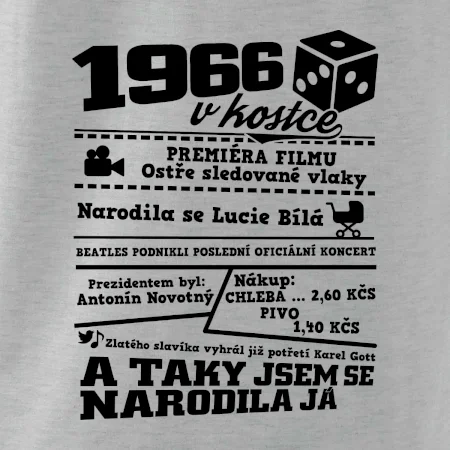 1966 v kostce