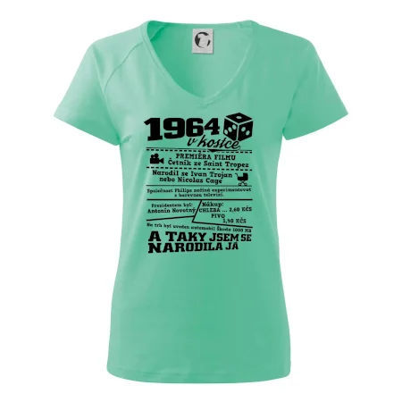 1964 v kostce