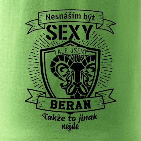 Nesnáším být tak skvělý - Beran