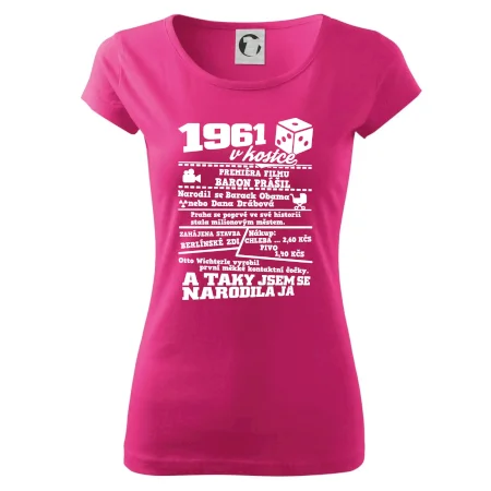 1961 v kostce