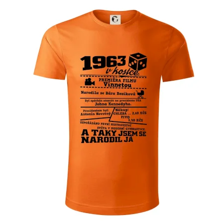 1963 v kostce