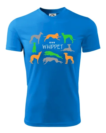 Whippet barevný