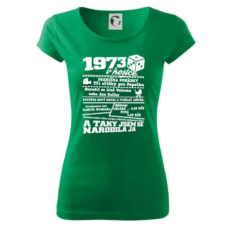 1973 v kostce