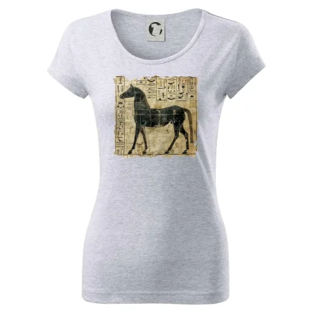 Egyptské hieroglyfy kůň