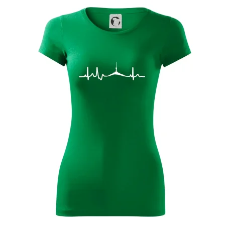 Ekg Jeseníky