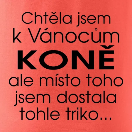 Chtěla jsem k Vánocům koně