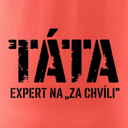 Táta - expert na za chvíli