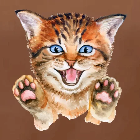 Kočka baf