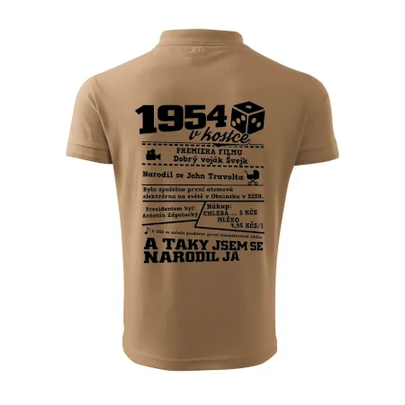 1954 v kostce