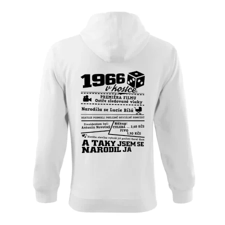 1966 v kostce