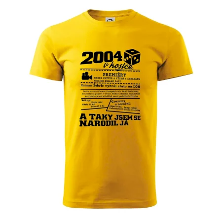 2004 v kostce