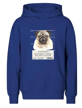 Lump a darebák mopsík