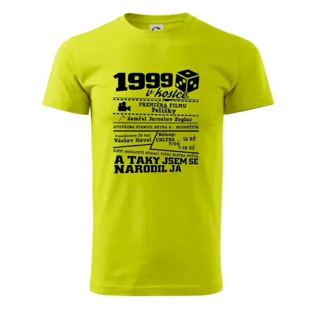 1999 v kostce
