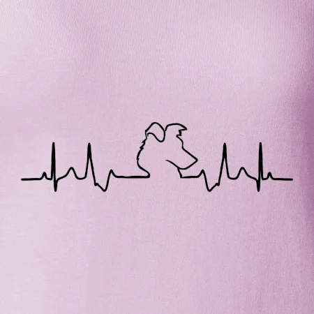 Border kolie EKG