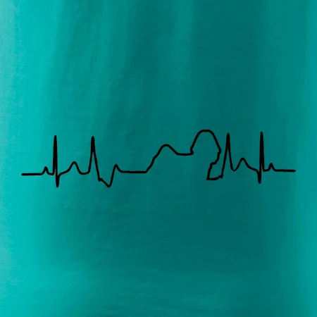 Shih-tzu ekg obrys