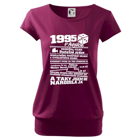 1995 v kostce