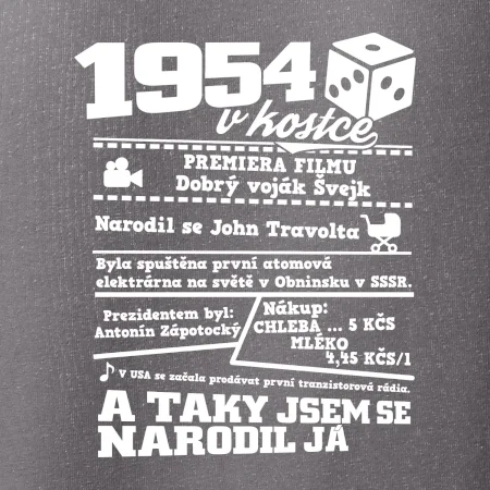 1954 v kostce