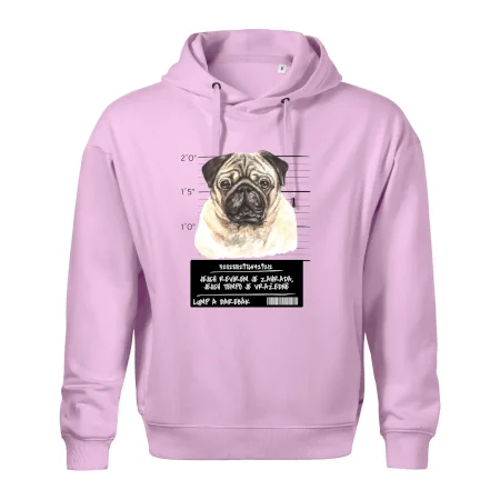 Lump a darebák mopsík
