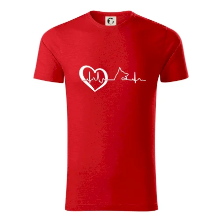 Německý ovčák ekg