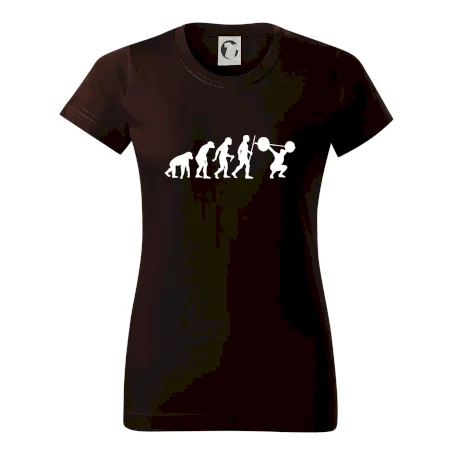 Evolution fitness