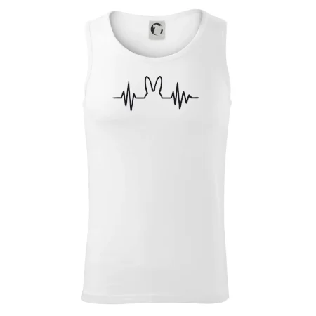 EKG zajíc