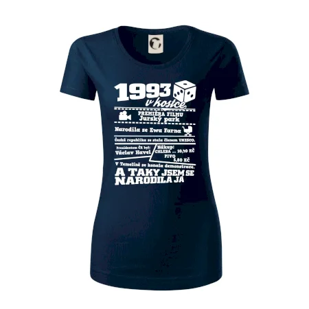 1993 v kostce