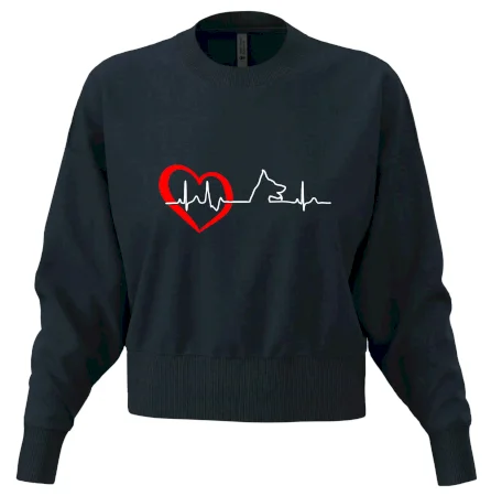 Německý ovčák ekg