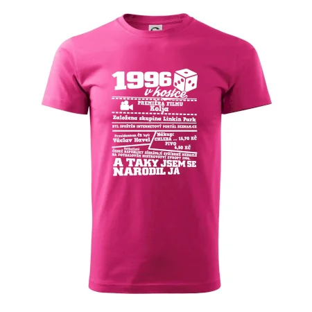 1996 v kostce