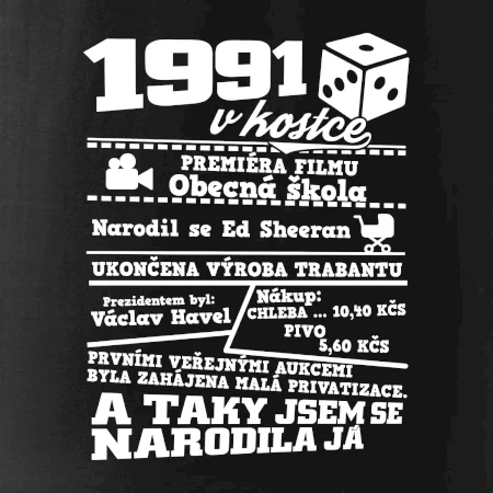 1991 v kostce