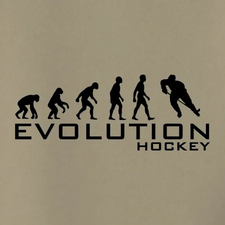 Evoluce Hockey - hráč