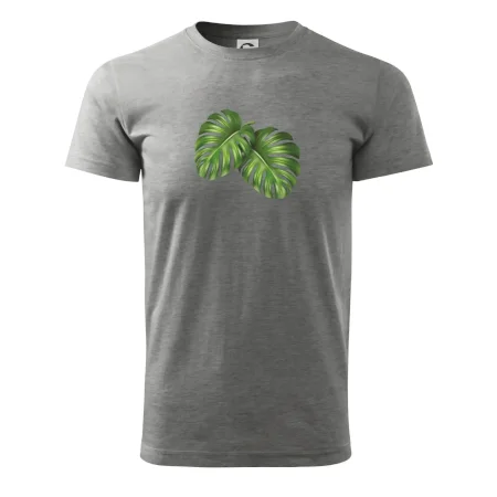 Monstera - dva listy