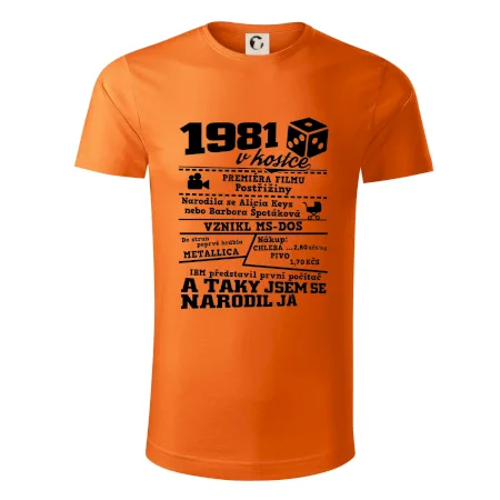 1981 v kostce