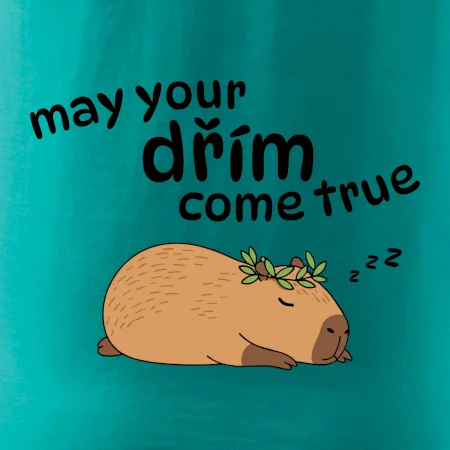 May your dřím come true