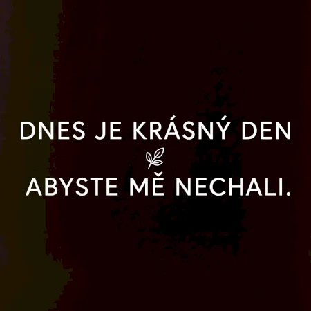 Dnes je krásný den abyste mě nechali