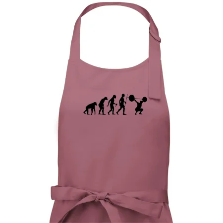 Evolution fitness