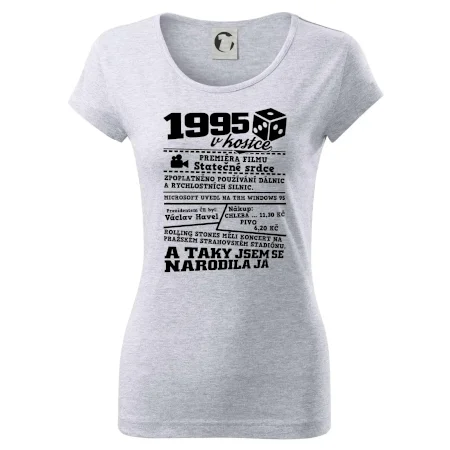1995 v kostce