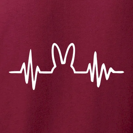 EKG zajíc
