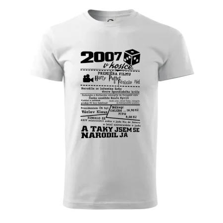 2007 v kostce