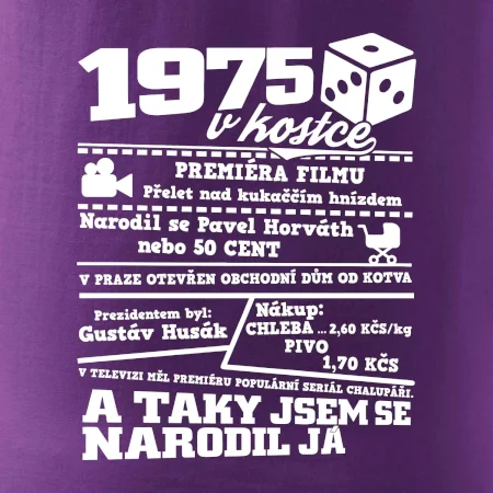 1975 v kostce