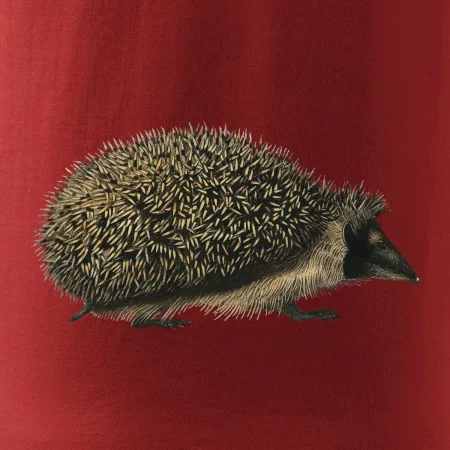 Ježek kresba