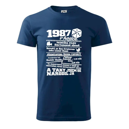 1987 v kostce