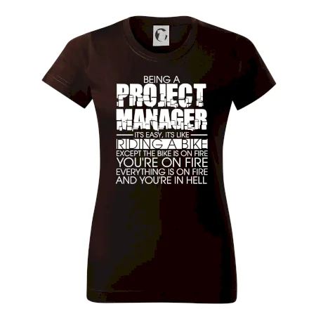 Being A Project Manager - bike