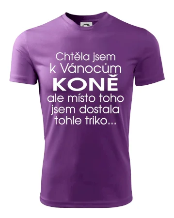 Chtěla jsem k Vánocům koně