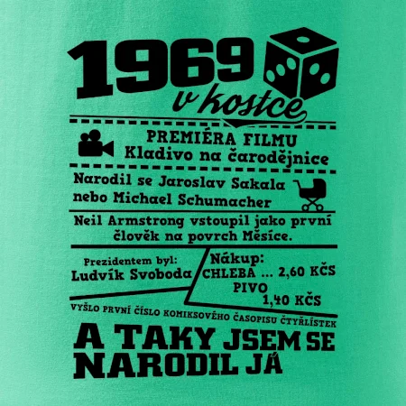 1969 v kostce