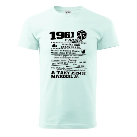 1961 v kostce