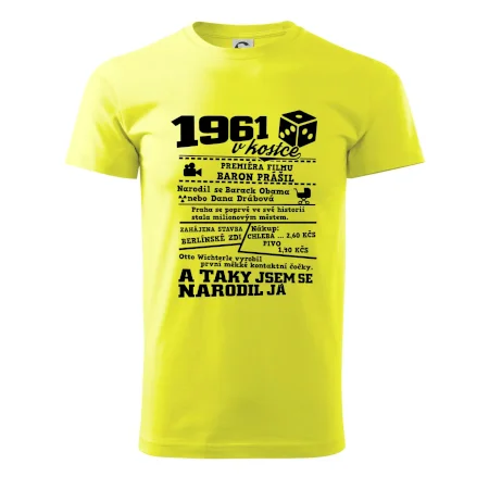 1961 v kostce