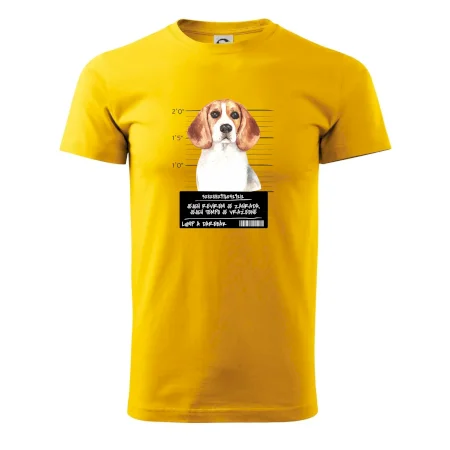 Lump a darebák bígl